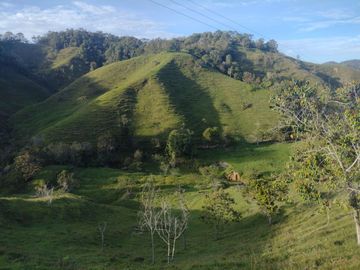 Venta Finca Ganadera Concepción Antioquia