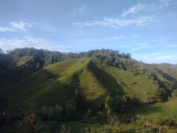 Venta Finca Ganadera Concepción Antioquia