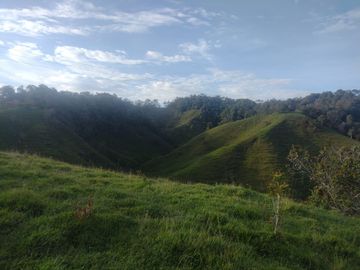 Venta Finca Ganadera Concepción Antioquia