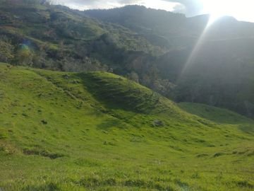 Venta Finca Ganadera Concepción Antioquia
