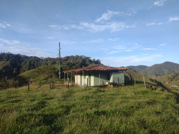 Venta Finca Ganadera Concepción Antioquia