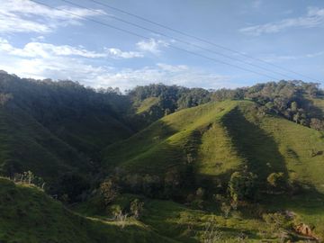 Venta Finca Ganadera Concepción Antioquia