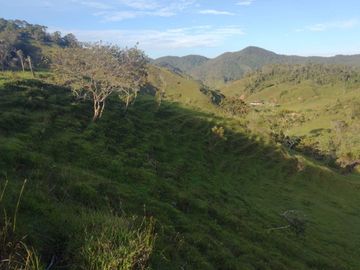 Venta Finca Ganadera Concepción Antioquia
