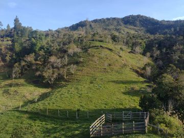 Venta Finca Ganadera Concepción Antioquia