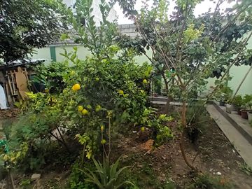 Venta de Propiedad en Ibarra