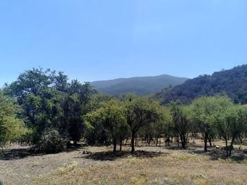 Parcela plana N°5 en nuevo proyecto en Cajón San Pedro, Cumbres de Quillota