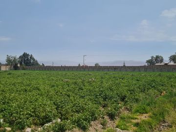 Alquiler Terreno Semi - Cercado De 20,000 M2. – Zamacola - Cerro Colorado