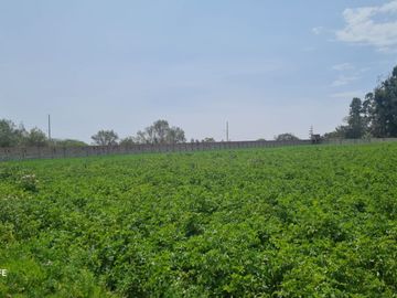 Alquiler Terreno Semi - Cercado De 20,000 M2. – Zamacola - Cerro Colorado