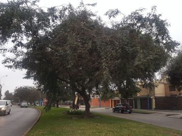 ALQUILER MINI DPTO. LA CAPULLANA SURCO