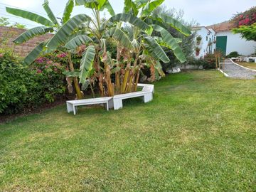 Venta Casa de Campo: Comodidad, Naturaleza y Espacios Acogedores en Pachacamac