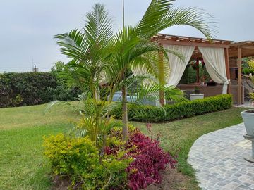 Venta Casa de Campo: Comodidad, Naturaleza y Espacios Acogedores en Pachacamac