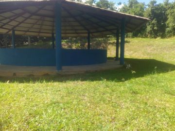 Vendo Terreno 10,80 Has Tarapoto Perú