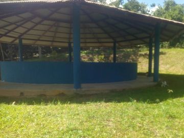 Vendo Terreno 10,80 Has Tarapoto Perú