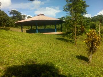 Vendo Terreno 10,80 Has Tarapoto Perú
