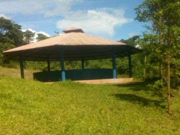 Vendo Terreno 10,80 Has Tarapoto Perú