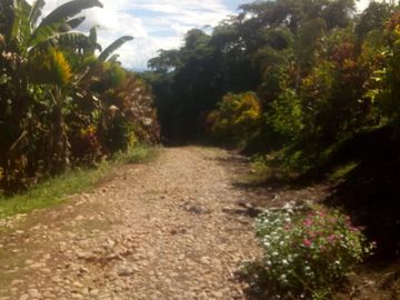 Vendo Terreno 10,80 Has Tarapoto Perú
