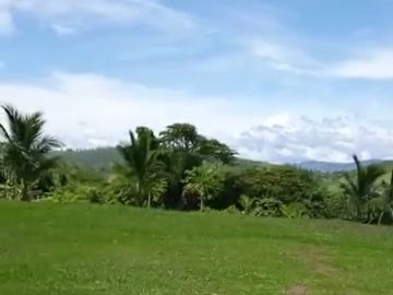 Vendo Terreno 10,80 Has Tarapoto Perú