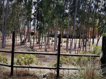 VENDE PARCELA CON CASA, CONDOMINIO BOSQUEMAR DE TUNQUEN, ALGARROBO, 4 DORMITORIOS, 5 BAÑOS, PISCINA, TERRAZA Y QUINCHO, FRENTE A SANTUARIO DE LA NATUR