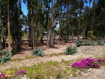 VENDE PARCELA CON CASA, CONDOMINIO BOSQUEMAR DE TUNQUEN, ALGARROBO, 4 DORMITORIOS, 5 BAÑOS, PISCINA, TERRAZA Y QUINCHO, FRENTE A SANTUARIO DE LA NATUR