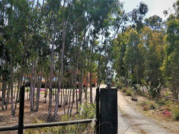 VENDE PARCELA CON CASA, CONDOMINIO BOSQUEMAR DE TUNQUEN, ALGARROBO, 4 DORMITORIOS, 5 BAÑOS, PISCINA, TERRAZA Y QUINCHO, FRENTE A SANTUARIO DE LA NATUR
