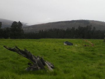 Hacienda Ganadera Plana en Cayambe apta para floricola