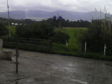 Hacienda Ganadera Plana en Cayambe apta para floricola
