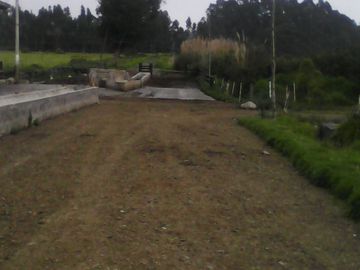 Hacienda Ganadera Plana en Cayambe apta para floricola