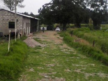 Hacienda Ganadera Plana en Cayambe apta para floricola