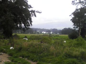 Hacienda Ganadera Plana en Cayambe apta para floricola