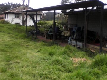 Hacienda Ganadera Plana en Cayambe apta para floricola