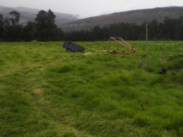 Hacienda Ganadera Plana en Cayambe apta para floricola
