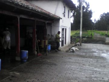 Hacienda Ganadera Plana en Cayambe apta para floricola