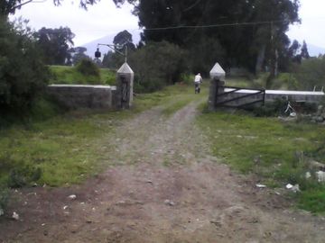 Hacienda Ganadera Plana en Cayambe apta para floricola