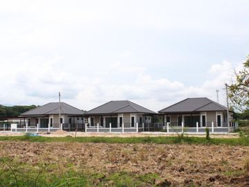 New house sale, 3 bedrooms, 2 bathrooms, 50Wa., 1.99MB, Saraphi District, Chiang Mai.