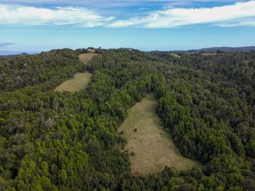 Campo en venta en Quillagua, Los Muermos de 29,6 Hectáreas - Región de Los Lagos