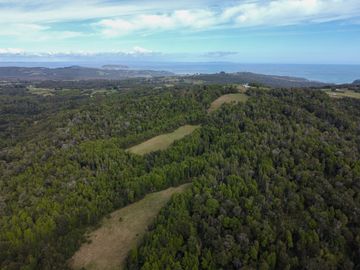 Campo en venta en Quillagua, Los Muermos de 29,6 Hectáreas - Región de Los Lagos