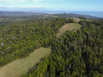 Campo en venta en Quillagua, Los Muermos de 29,6 Hectáreas - Región de Los Lagos