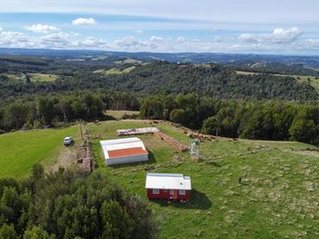 Campo en venta en Quillagua, Los Muermos de 29,6 Hectáreas - Región de Los Lagos