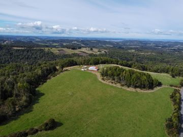 Campo en venta en Quillagua, Los Muermos de 29,6 Hectáreas - Región de Los Lagos