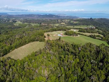 Campo en venta en Quillagua, Los Muermos de 29,6 Hectáreas - Región de Los Lagos