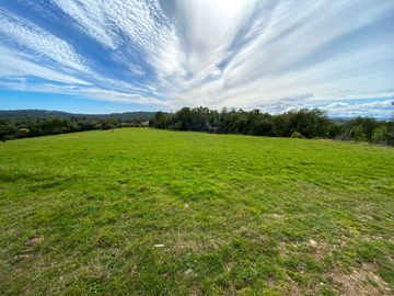 Campo en venta en Quillagua, Los Muermos de 29,6 Hectáreas - Región de Los Lagos