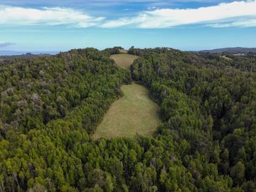 Campo en venta en Quillagua, Los Muermos de 29,6 Hectáreas - Región de Los Lagos