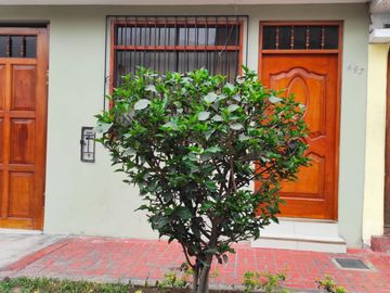 ELAGUSTINO VENTA DE EDIFICIO DE 4 PISOS