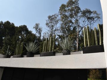 GRAN UBICACION, HERMOSAS VISTAS, AREAS VERDES, FRACC TRANQUILO Y SEGURO