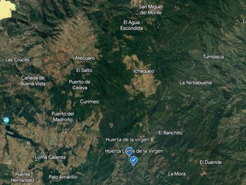 Huerta entre Villa Madero y Morelia en venta