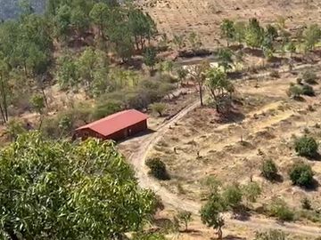 Huerta entre Villa Madero y Morelia en venta