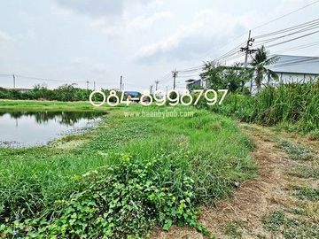 ขายที่ดิน บางพลี เนื้อที่ 10-1-24 ไร่ ต.ศรีษะจระเข้ใหญ่ บางเสาธง บางนา-ตราด กม.23 ขาออก ผังสีม่วง ติดถนนตัดใหม่ 8 เลน ใกล้สนามบินสุวรรณภูมิ ขายถูก ไร่