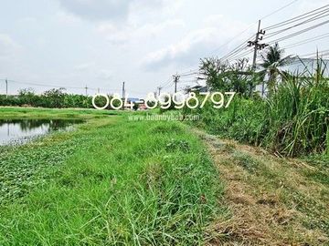 ขายที่ดิน บางพลี เนื้อที่ 10-1-24 ไร่ ต.ศรีษะจระเข้ใหญ่ บางเสาธง บางนา-ตราด กม.23 ขาออก ผังสีม่วง ติดถนนตัดใหม่ 8 เลน ใกล้สนามบินสุวรรณภูมิ ขายถูก ไร่