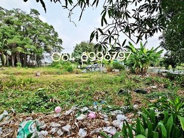 ขายที่ดิน บางพลี เนื้อที่ 10-1-24 ไร่ ต.ศรีษะจระเข้ใหญ่ บางเสาธง บางนา-ตราด กม.23 ขาออก ผังสีม่วง ติดถนนตัดใหม่ 8 เลน ใกล้สนามบินสุวรรณภูมิ ขายถูก ไร่