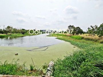 ขายที่ดิน บางพลี เนื้อที่ 10-1-24 ไร่ ต.ศรีษะจระเข้ใหญ่ บางเสาธง บางนา-ตราด กม.23 ขาออก ผังสีม่วง ติดถนนตัดใหม่ 8 เลน ใกล้สนามบินสุวรรณภูมิ ขายถูก ไร่